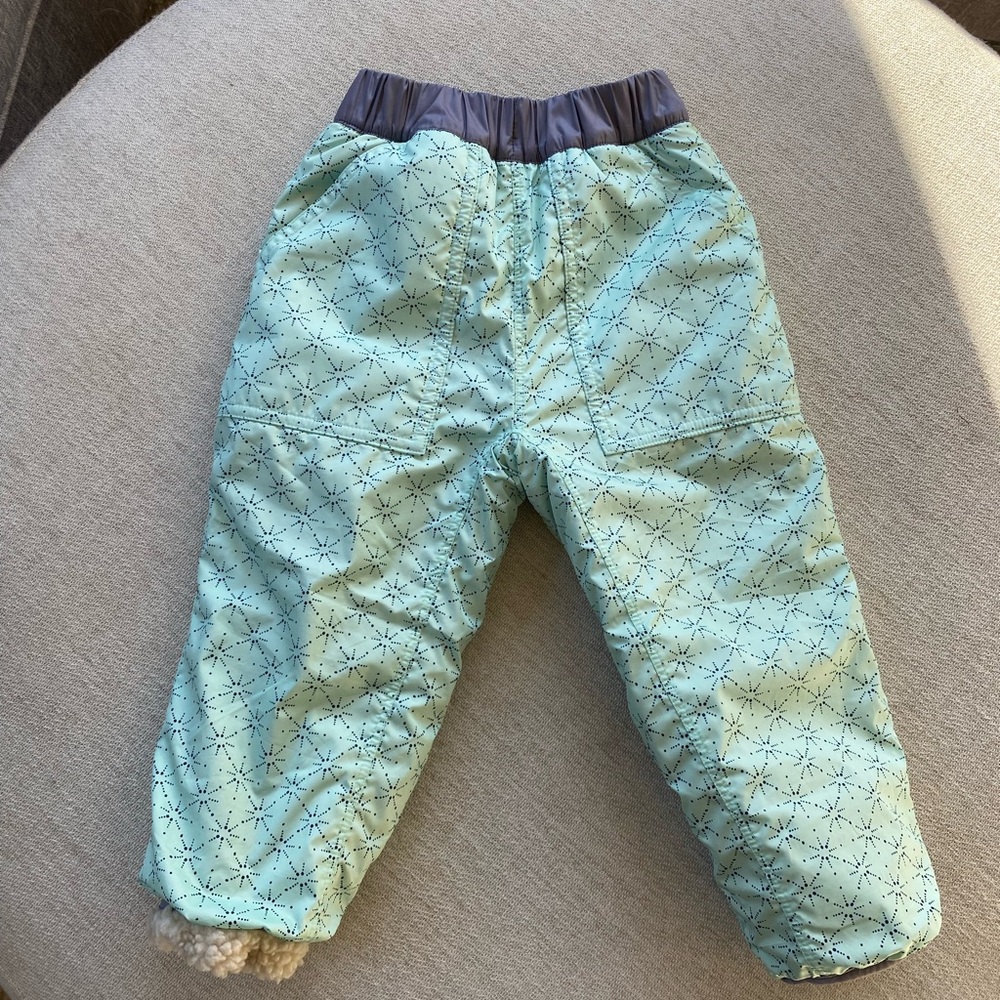 Patagonia Reversible Pants (waterproof and fleece)